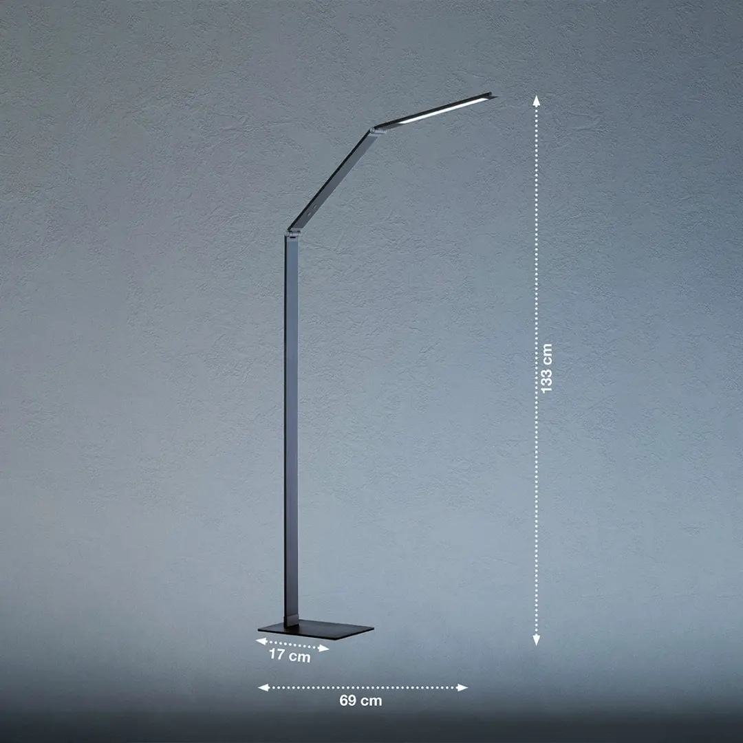 Fischer & Honsel Geri Vloerlamp 8W - 810 Lumen - Antraciet