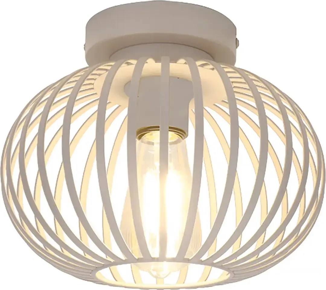 Freelight Plafondlamp Aglio Ø25cm
