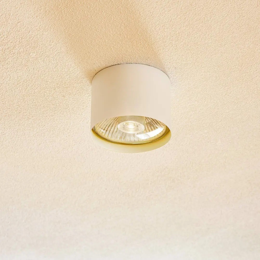 Euluna Halogeen Spot GU10 15W - 1 Licht - Staal - Wit