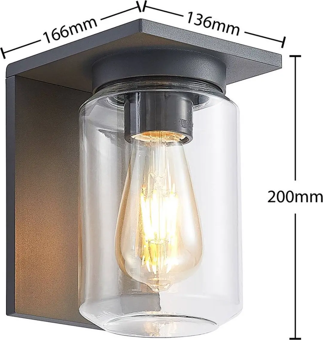 Lucande Wandlamp Buiten 1 Licht E27 - Donkergrijs/Transparant