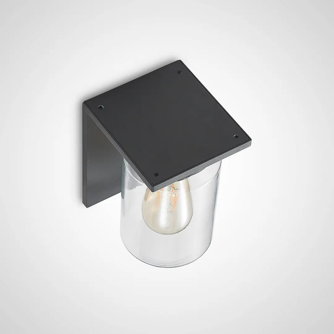 Lucande Wandlamp Buiten 1 Licht E27 - Donkergrijs/Transparant