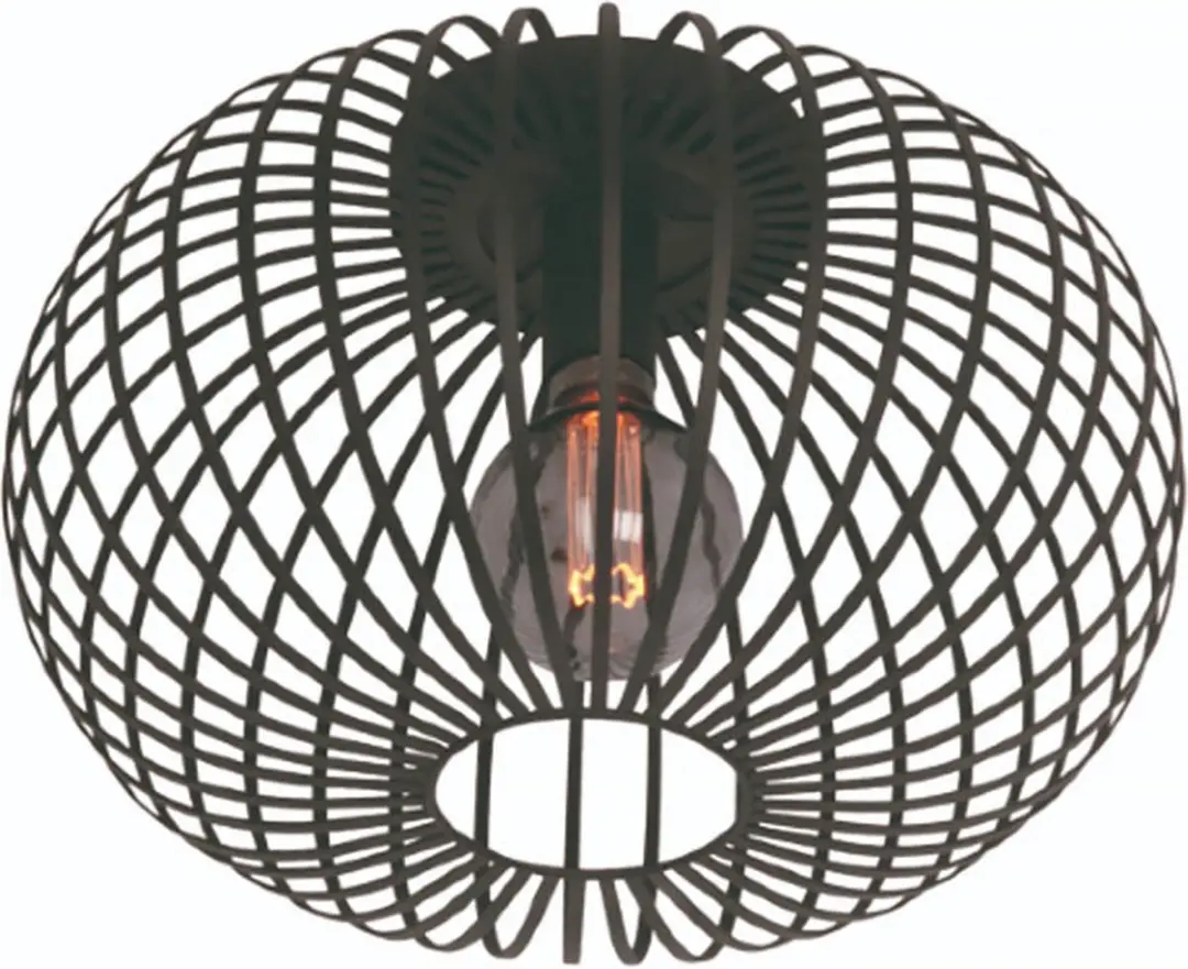 Freelight Agila Plafondlamp 40cm