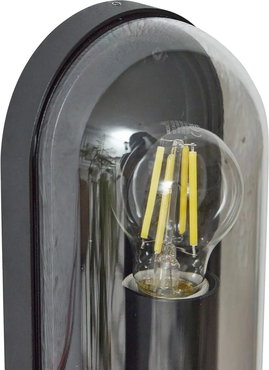 Lucande Wandlamp Buiten 1 Lichtpunt E27 - 15W - Zwart/Transparant