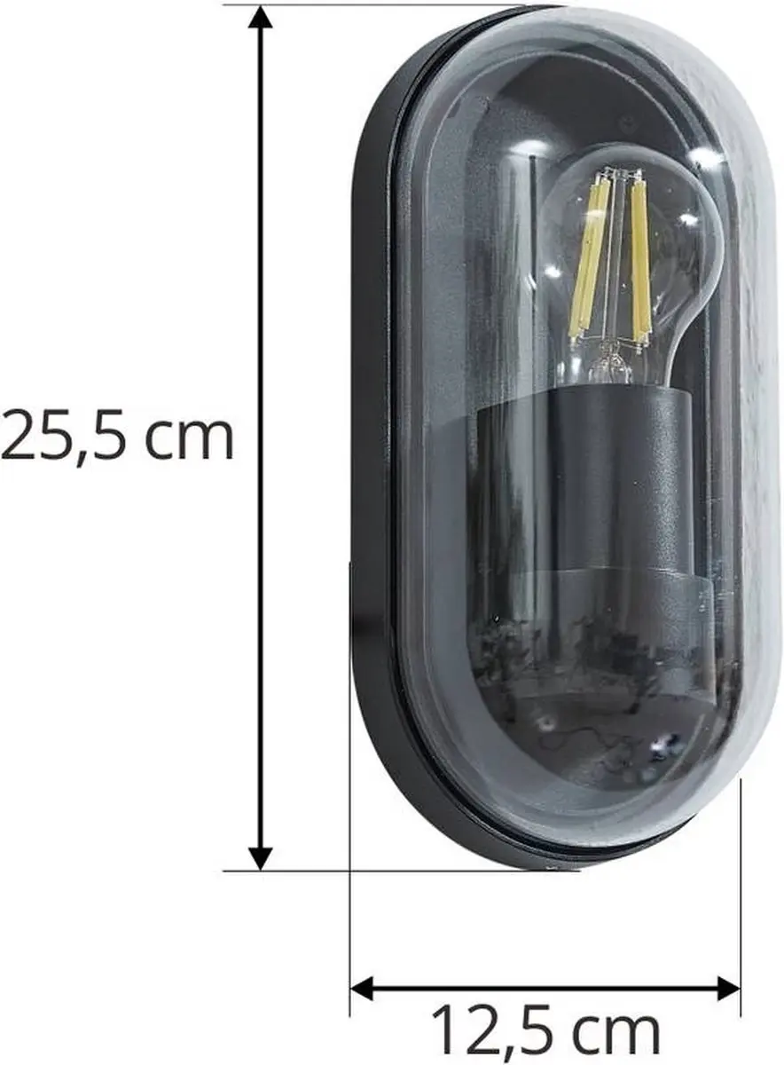 Lucande Wandlamp Buiten 1 Lichtpunt E27 - 15W - Zwart/Transparant