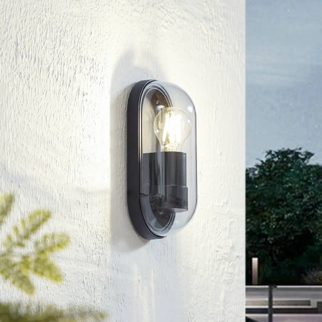 Lucande Wandlamp Buiten 1 Lichtpunt E27 - 15W - Zwart/Transparant