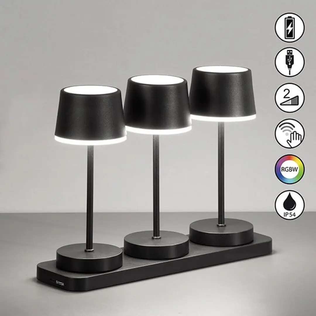 Fischer & Honsel Gardo Tafellamp