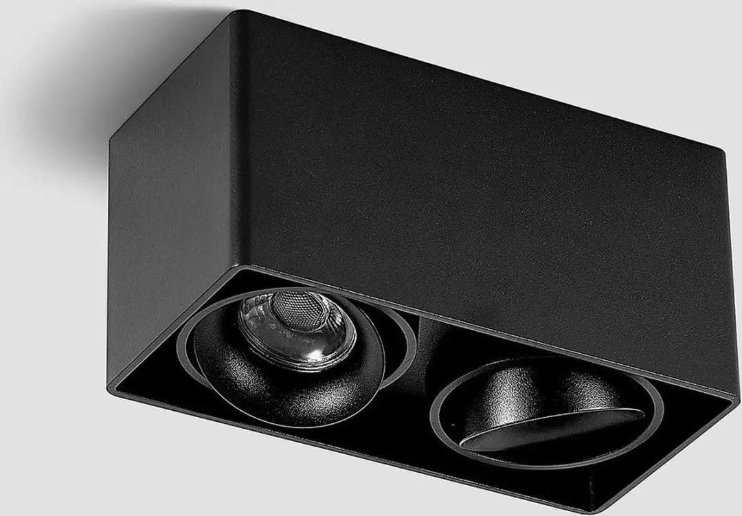 ARCCHIO Plafondlamp 2-lichts GU10 Zwart
