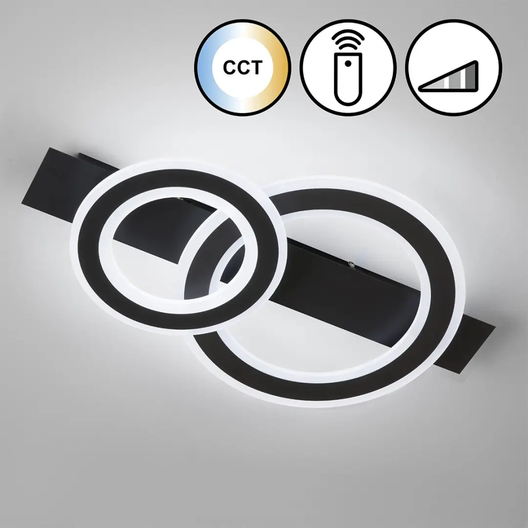 Fischer & Honsel Circle Plafondlamp 26W - Dimbaar Wit - Ø61cm - Zwart