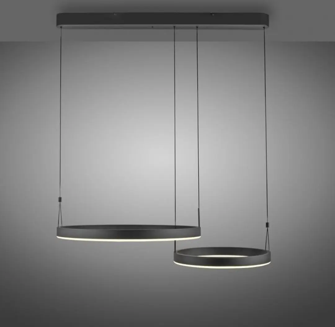 Paul Neuhaus Esko Hanglamp - 2 Ringen - Warm Wit