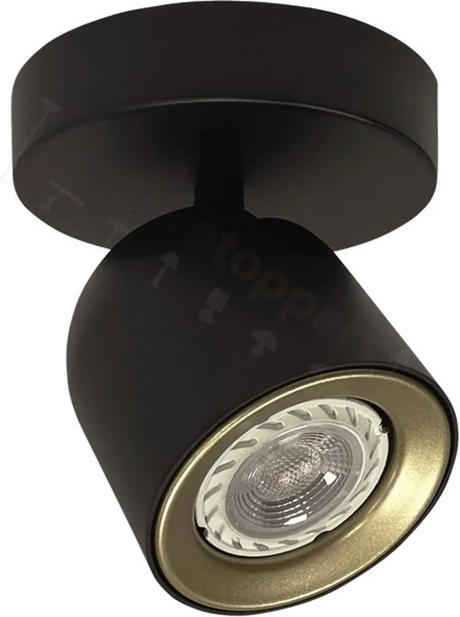 Freelight Spot Solare Zwart & Goud GU10 - 1 Lichtpunt
