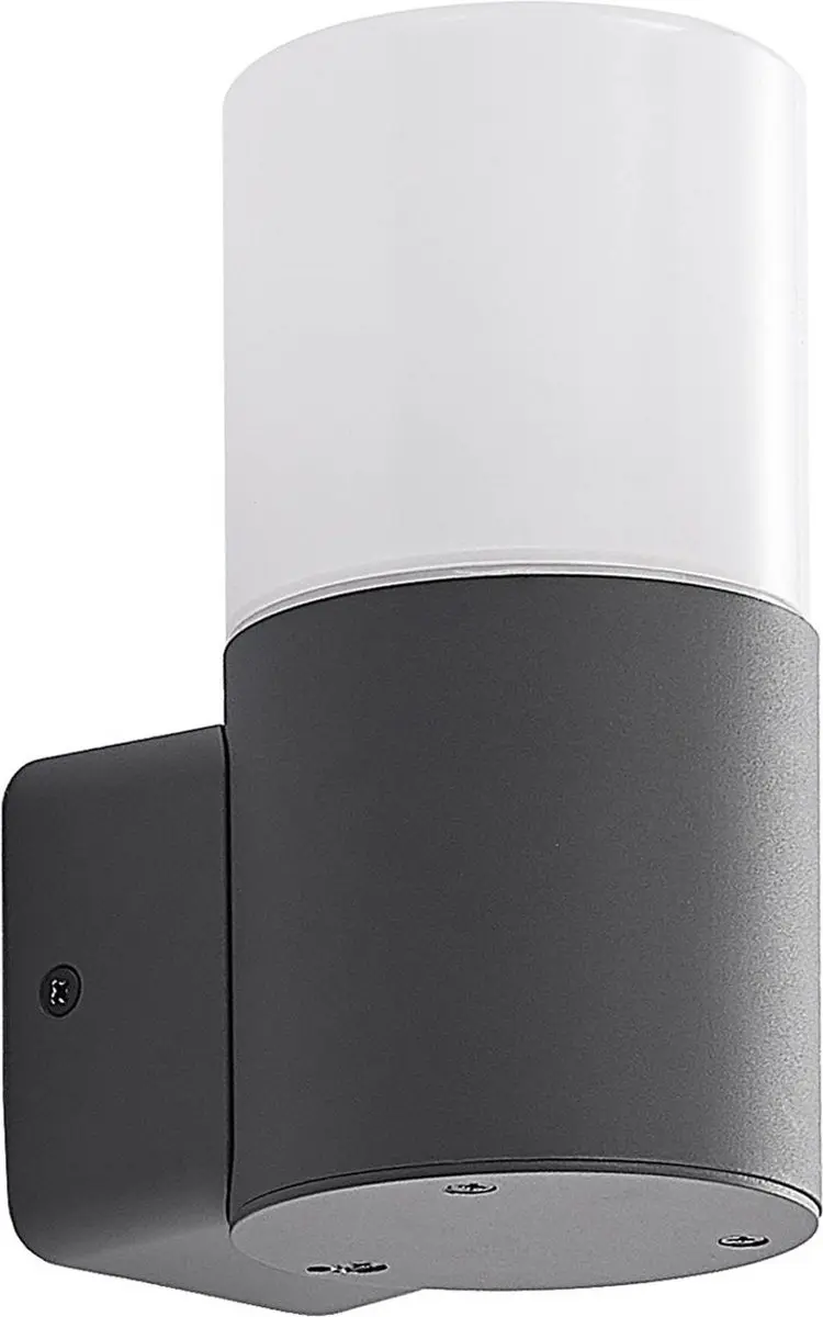Lindby Wandlamp Buiten 1 Licht E27 - 28W - Donkergrijs/Opaalwit