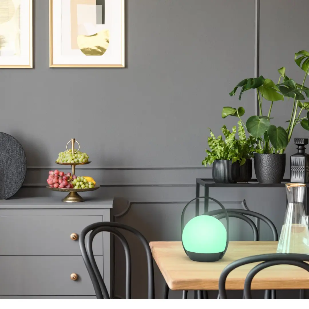 LUTEC Connect CARDI Draagbare Smart Verlichting RGBW 3W - Zwart