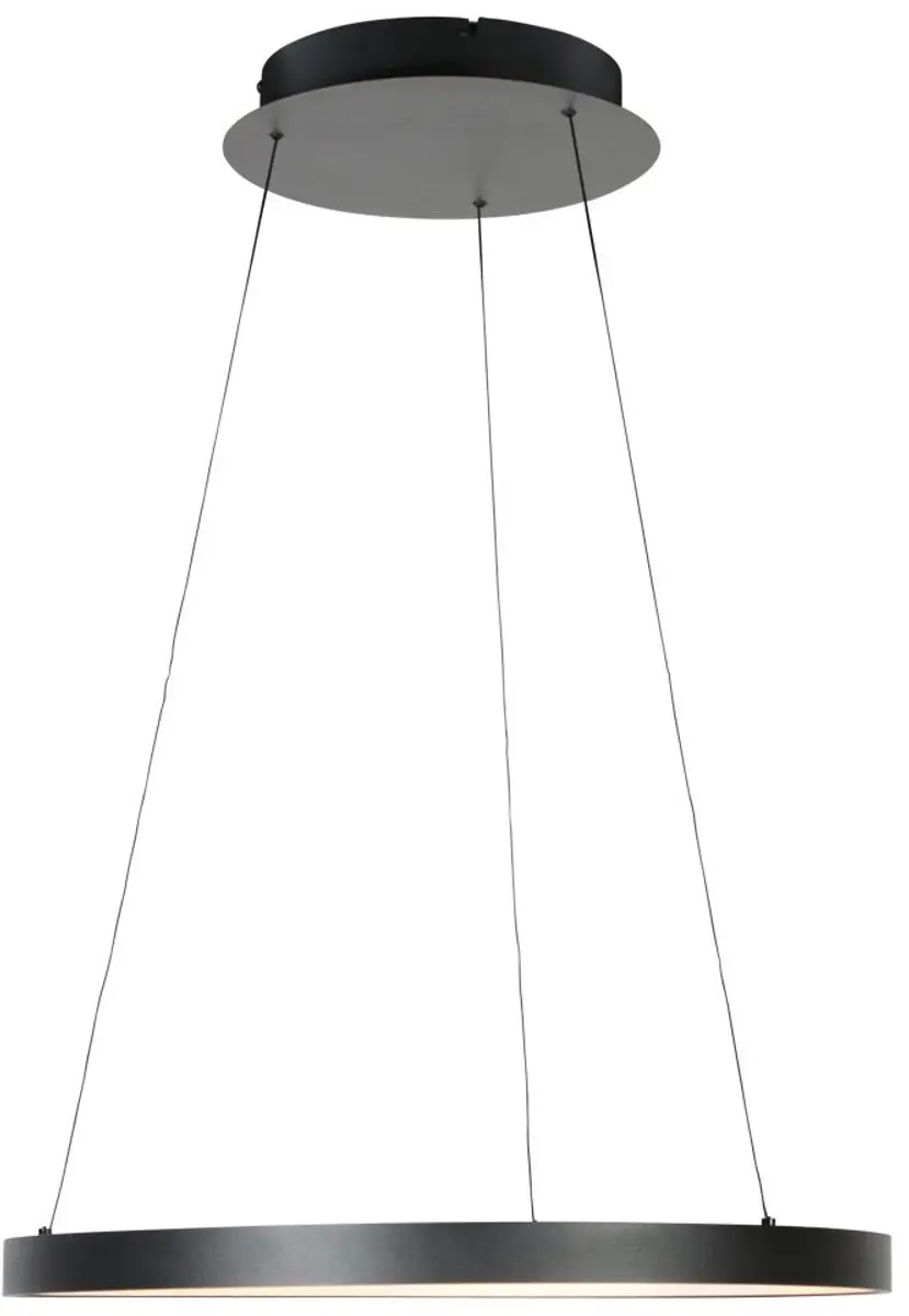 Steinhauer Ringlede 4612ZW Hanglamp - Zwart - 40W - afbeelding 6 van 6