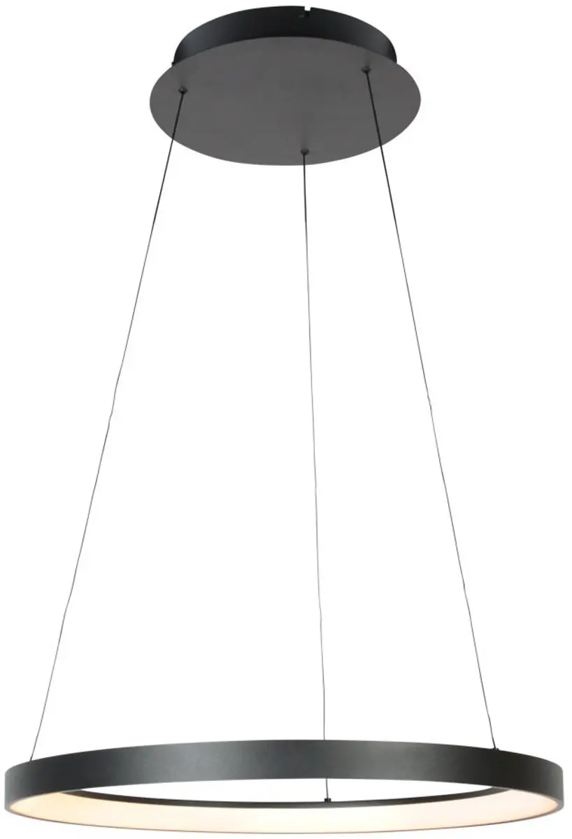 Steinhauer Ringlede 4612ZW Hanglamp - Zwart - 40W