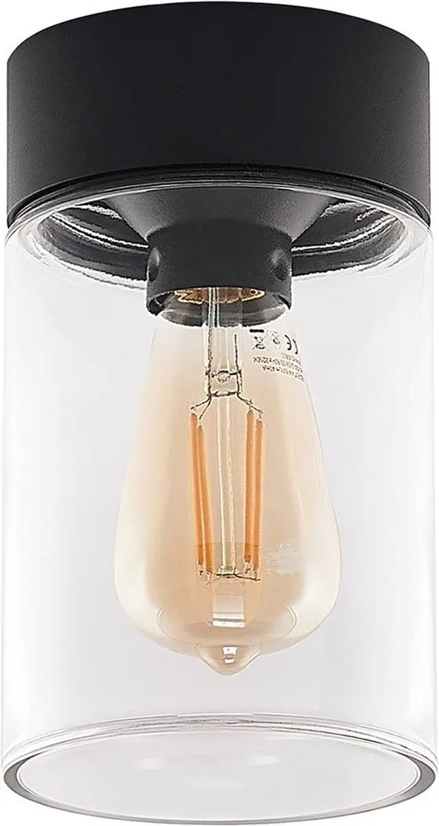 ARCCHIO Plafondlamp 1 Licht Aluminium Glas 20,5cm Zwart