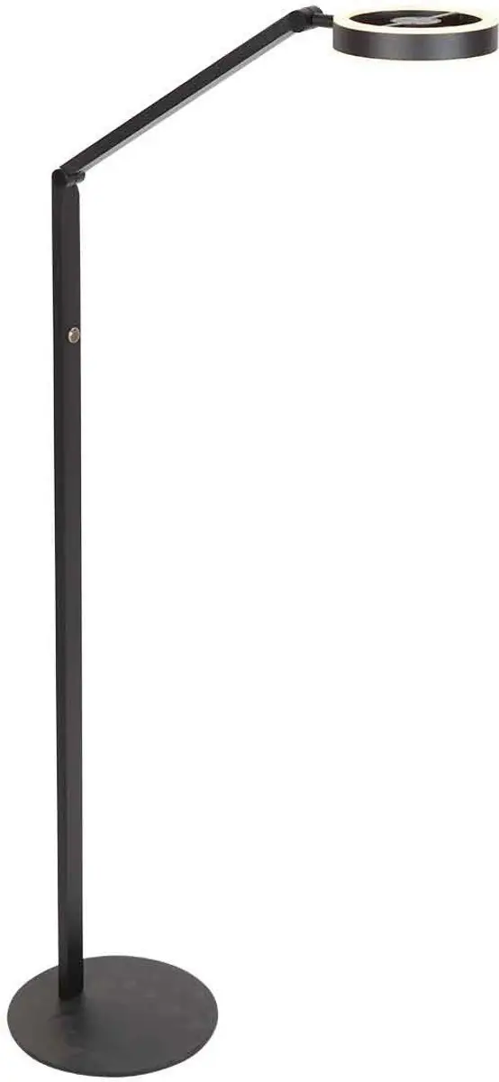 Steinhauer Ringlux 4138ZW Vloerlamp - 2x5W 2700K Zwart