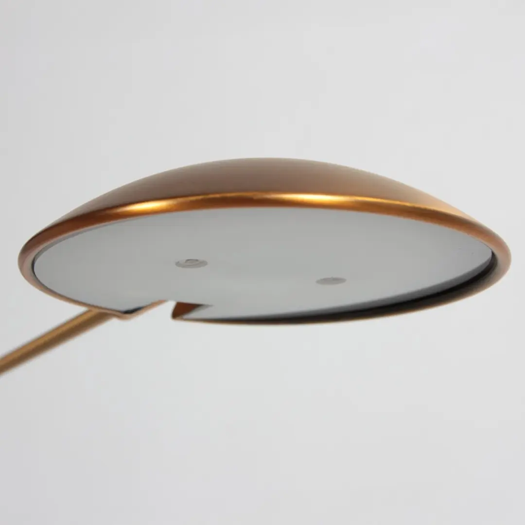 Steinhauer Daphne 2 Vloerlamp 10W - Bruin
