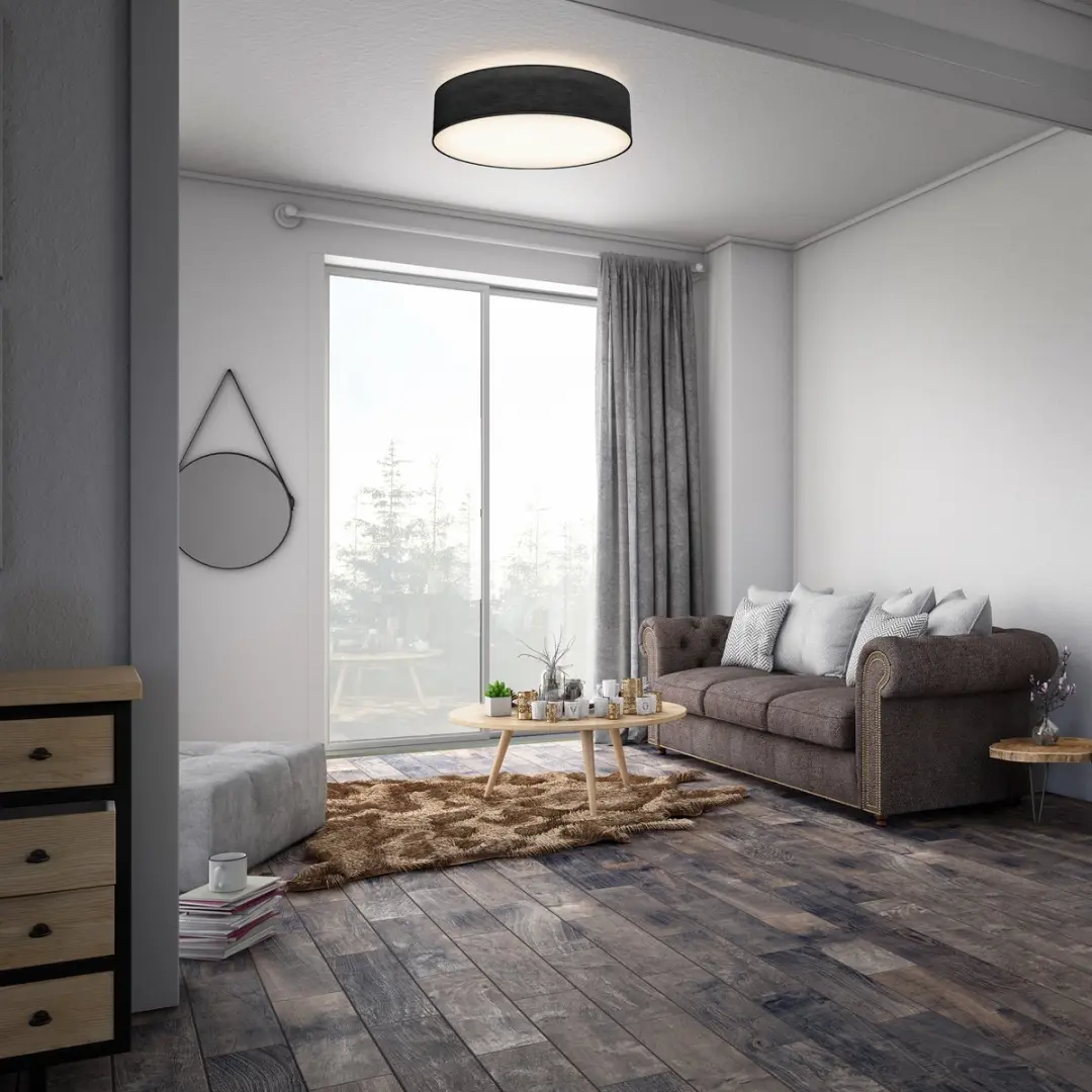 Briloner Plafondlamp Ø38cm - 2 Lichtpunten - Zwart