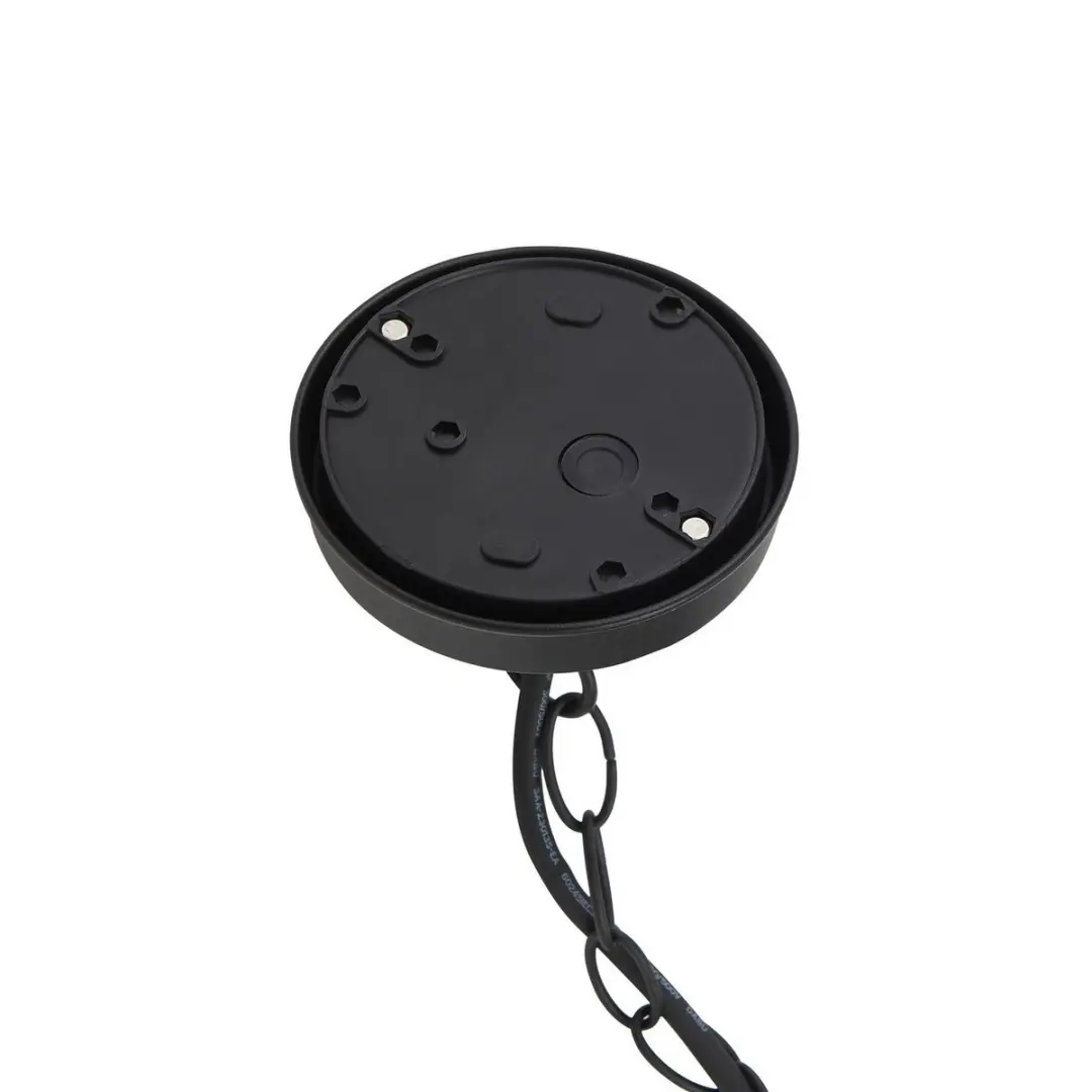 Lindby Hanglamp Buiten 1 Licht E27 - 31 cm - Zwart