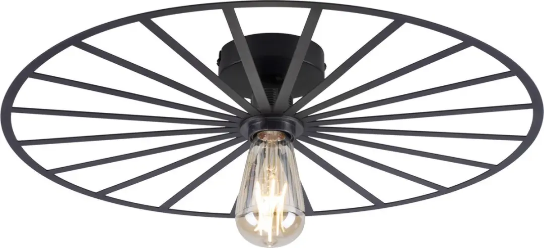 Paul Neuhaus Isabella Plafondlamp Ø50cm