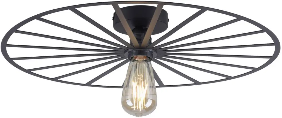 Paul Neuhaus Isabella Plafondlamp Ø50cm - Zwart
