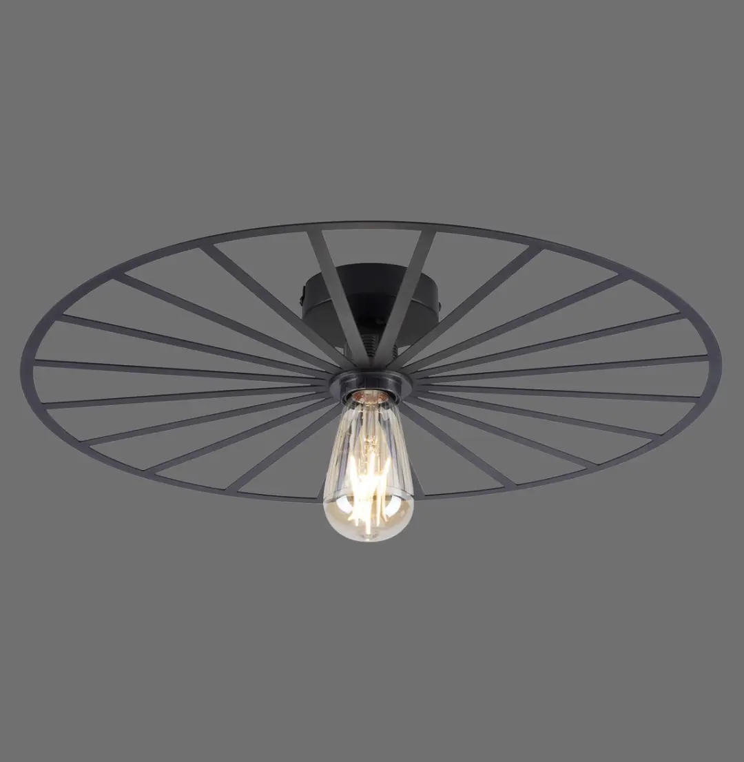 Paul Neuhaus Isabella Plafondlamp Ø50cm - Zwart