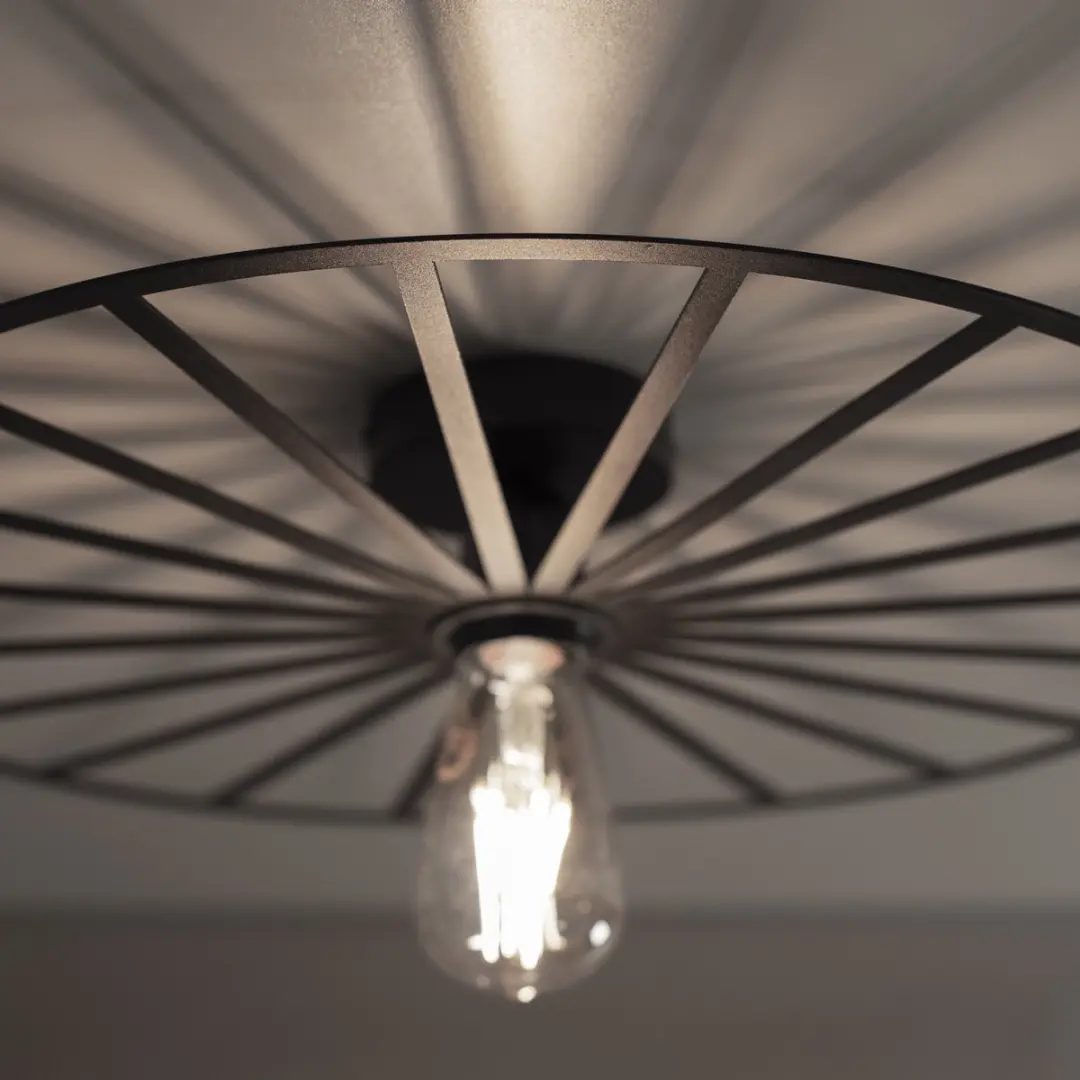 Paul Neuhaus Isabella Plafondlamp Ø50cm - Zwart