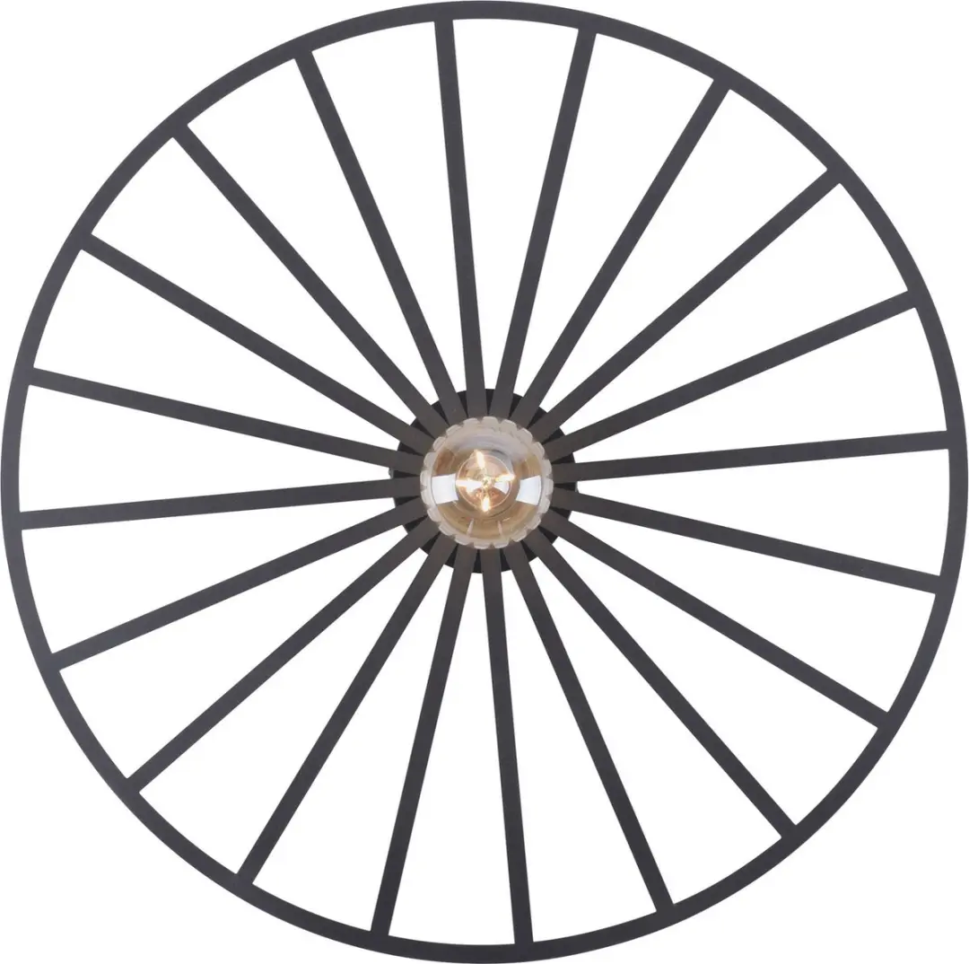 Paul Neuhaus Isabella Plafondlamp Ø50cm - Zwart