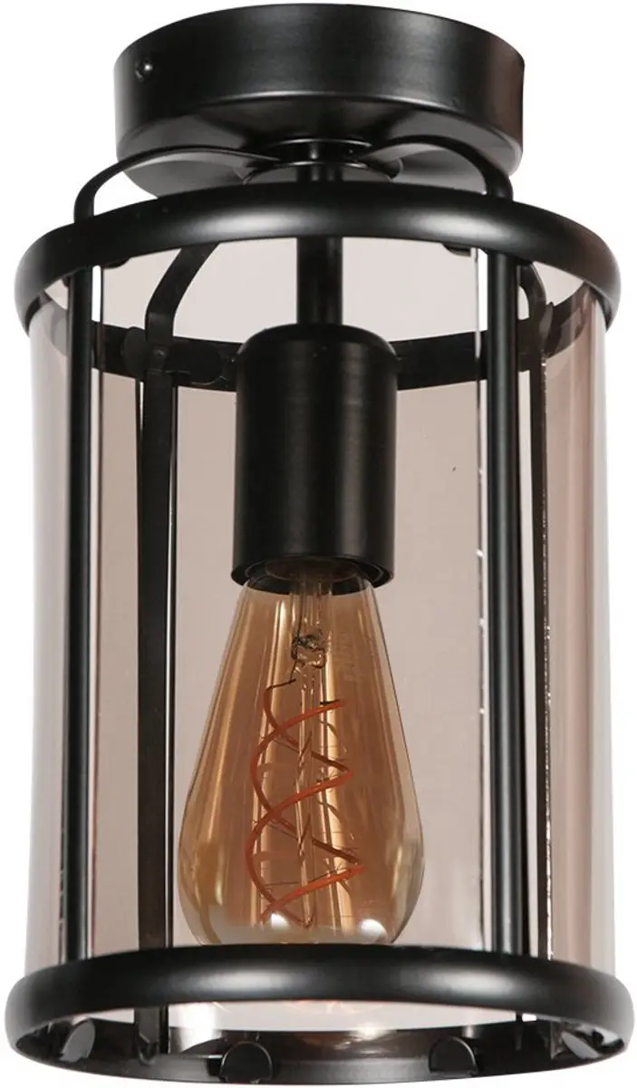 Steinhauer Pimpernel 5973ZW Plafonnier