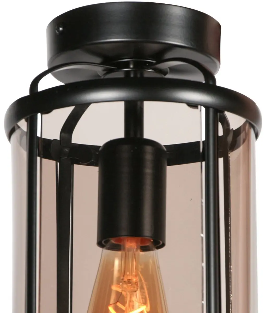 Steinhauer Pimpernel 5973ZW Plafonnier - Ø16cm - Zwart