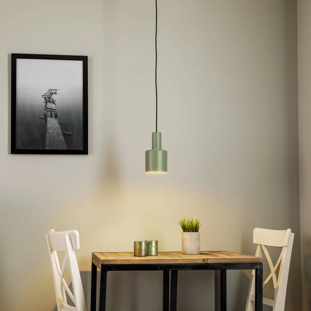 Euluna Hanglamp 1 Licht Staal