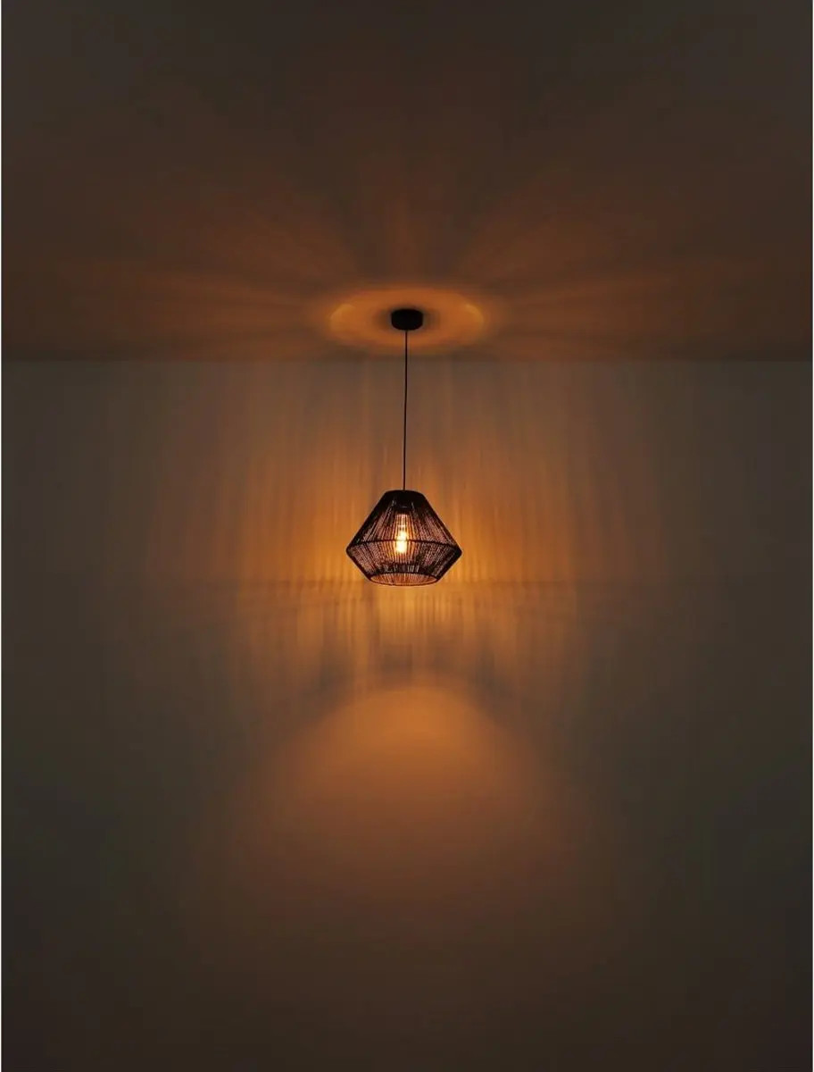 Globo Houdini Hanglamp E27 - 6 Lichtpunten - Zwart