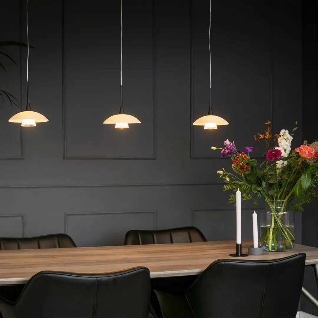 Steinhauer Tallerken 2654ZW Hanglamp - 3 Lichtpunten - Zwart