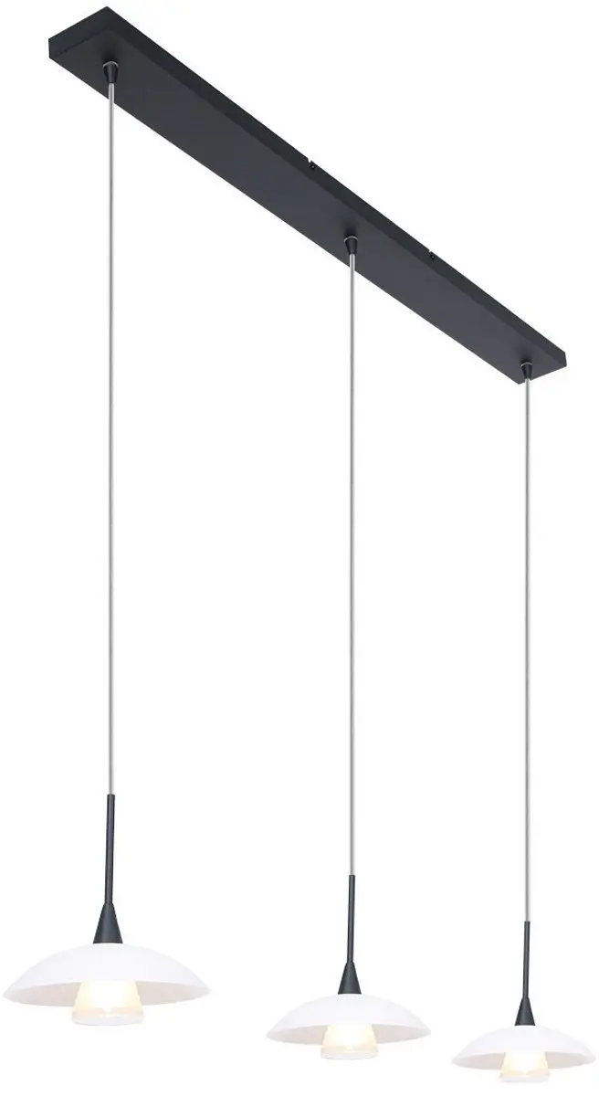 Steinhauer Tallerken 2654ZW Hanglamp - 3 Lichtpunten - Zwart