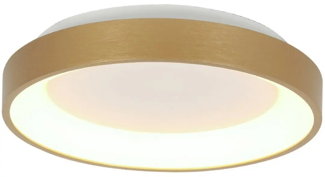 Steinhauer Ringlede 3690GO Plafonnier