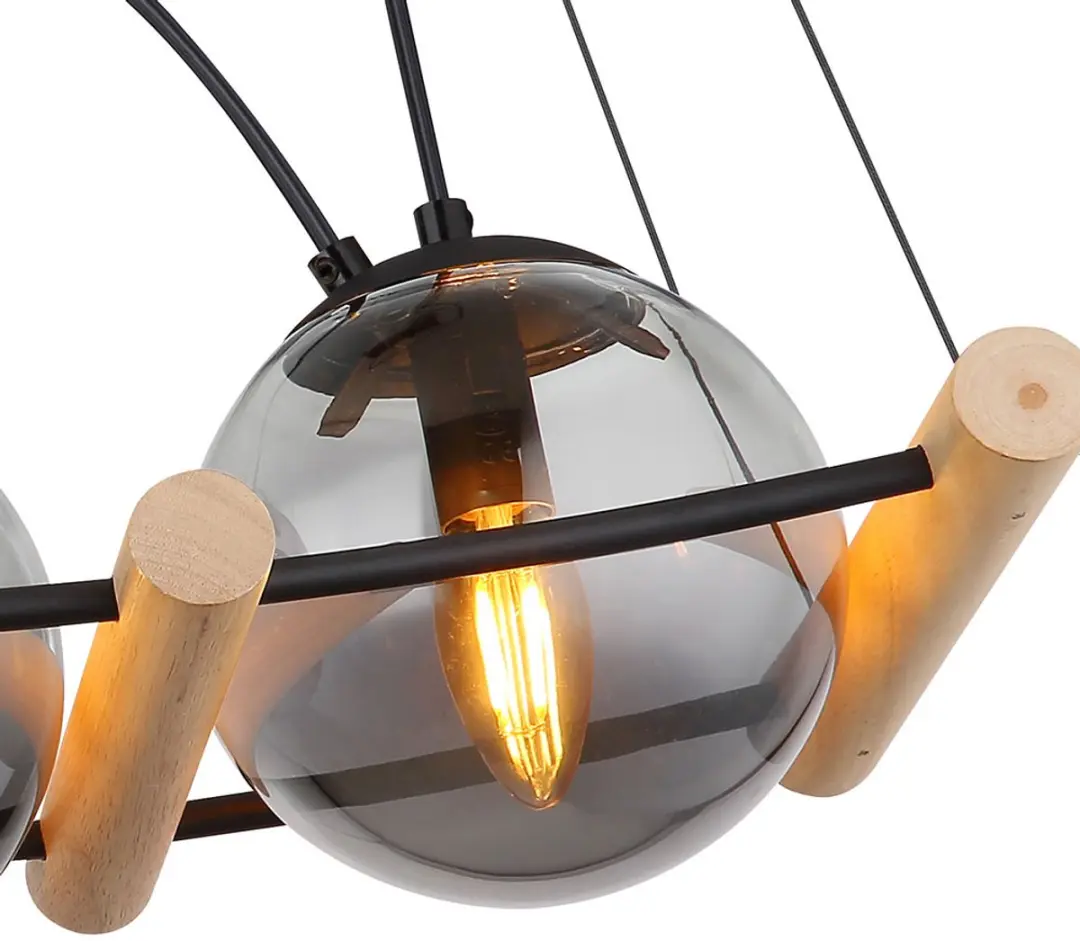 Globo Leona Hanglamp - 4 Lichtpunten - Zwart - Ø15cm