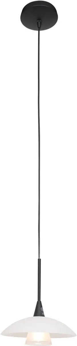 Steinhauer Tallerken Hanglamp