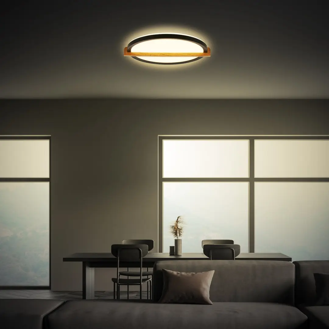 Briloner Remsa LED Plafondlamp 18W - 29x31,5cm Zwart