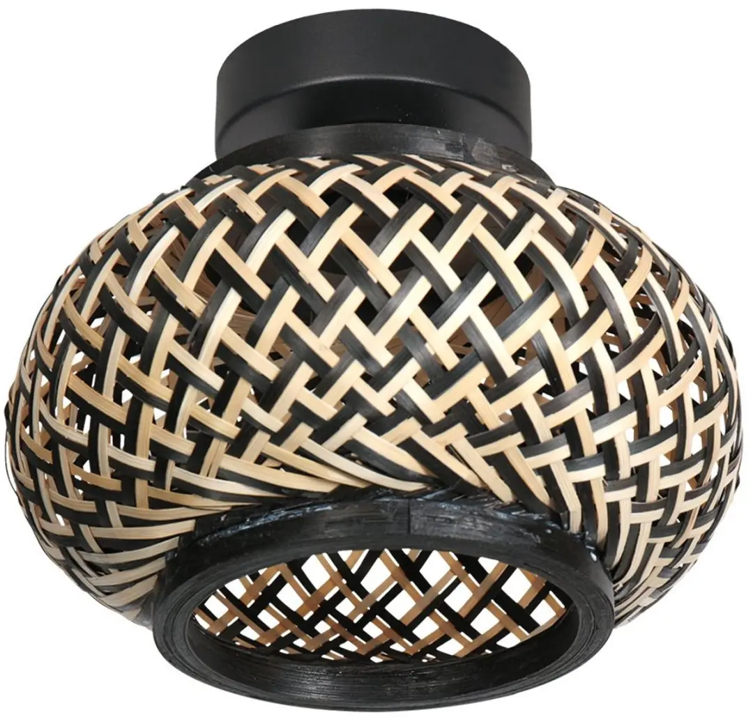 Steinhauer Nox Light 4501ZW Plafondlamp