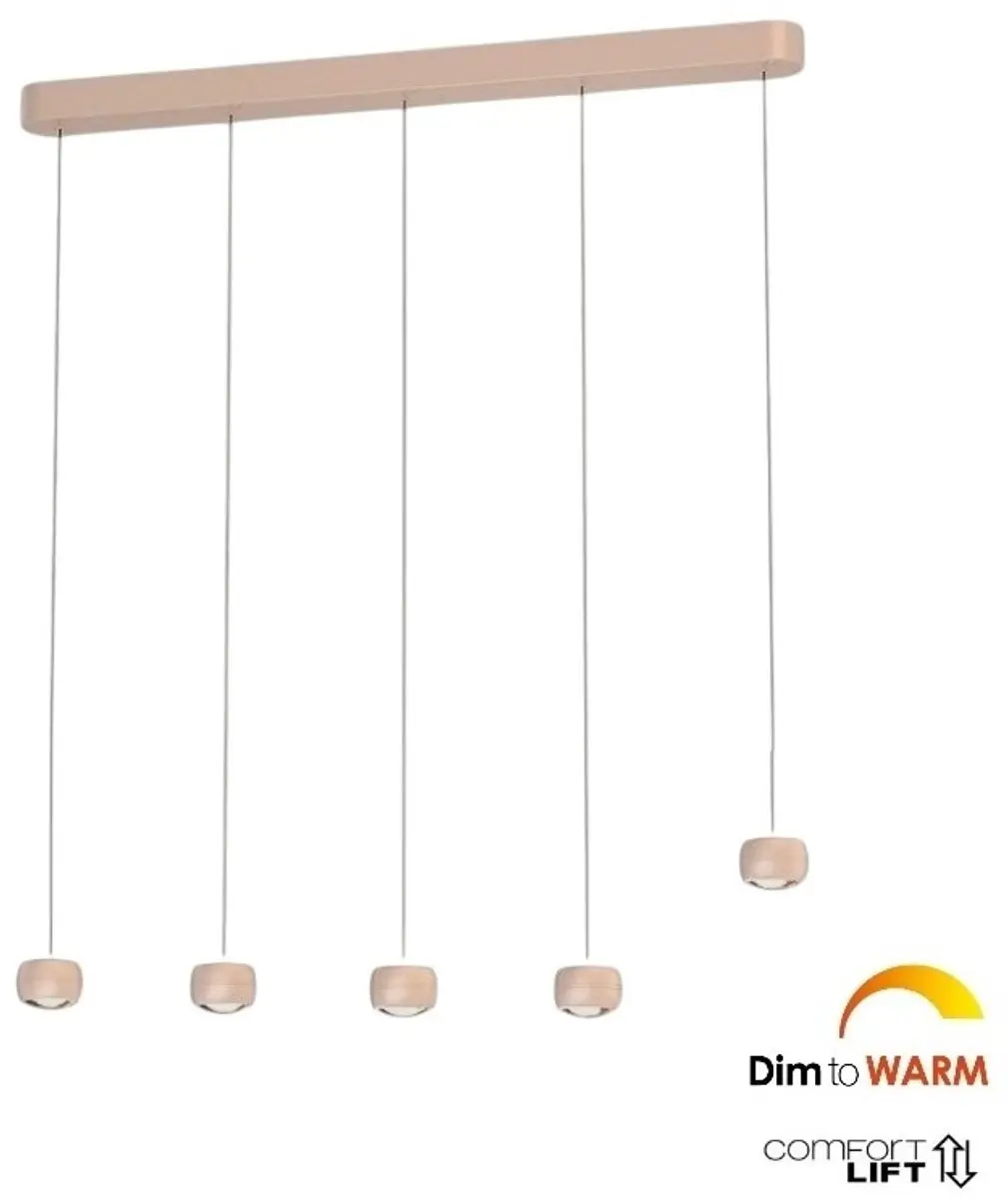 Freelight Cosmo 5 Hanglamp 120cm