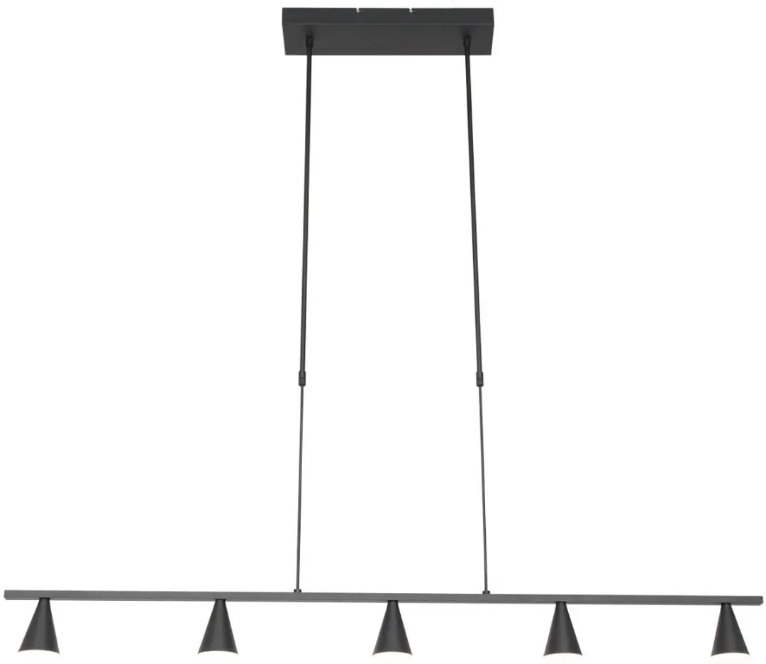 Steinhauer Vortex 3066ZW Hanglamp - 5 Lichts - Zwart