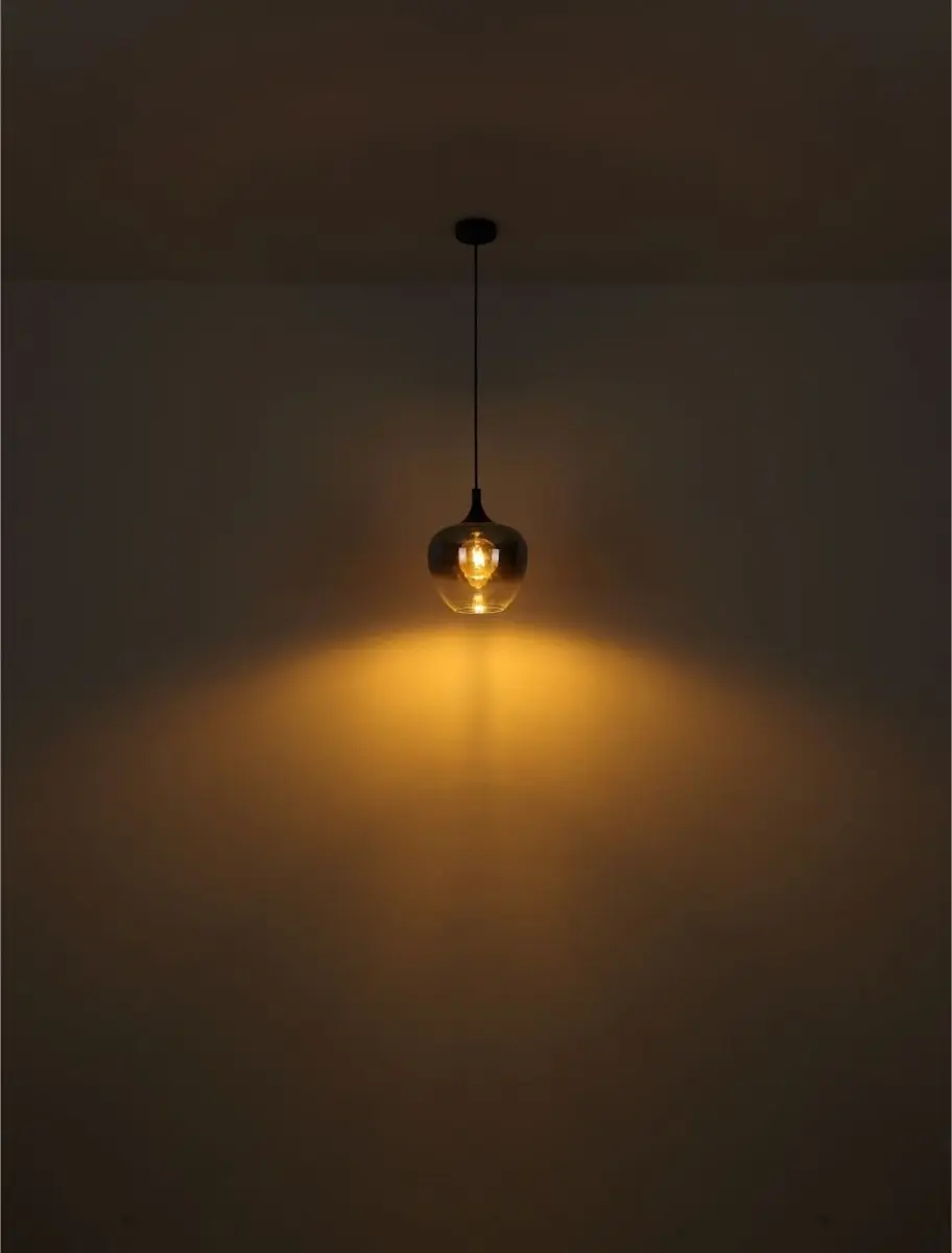 Globo Maxy Hanglamp E27 - 4 Lichtpunten - Zwart