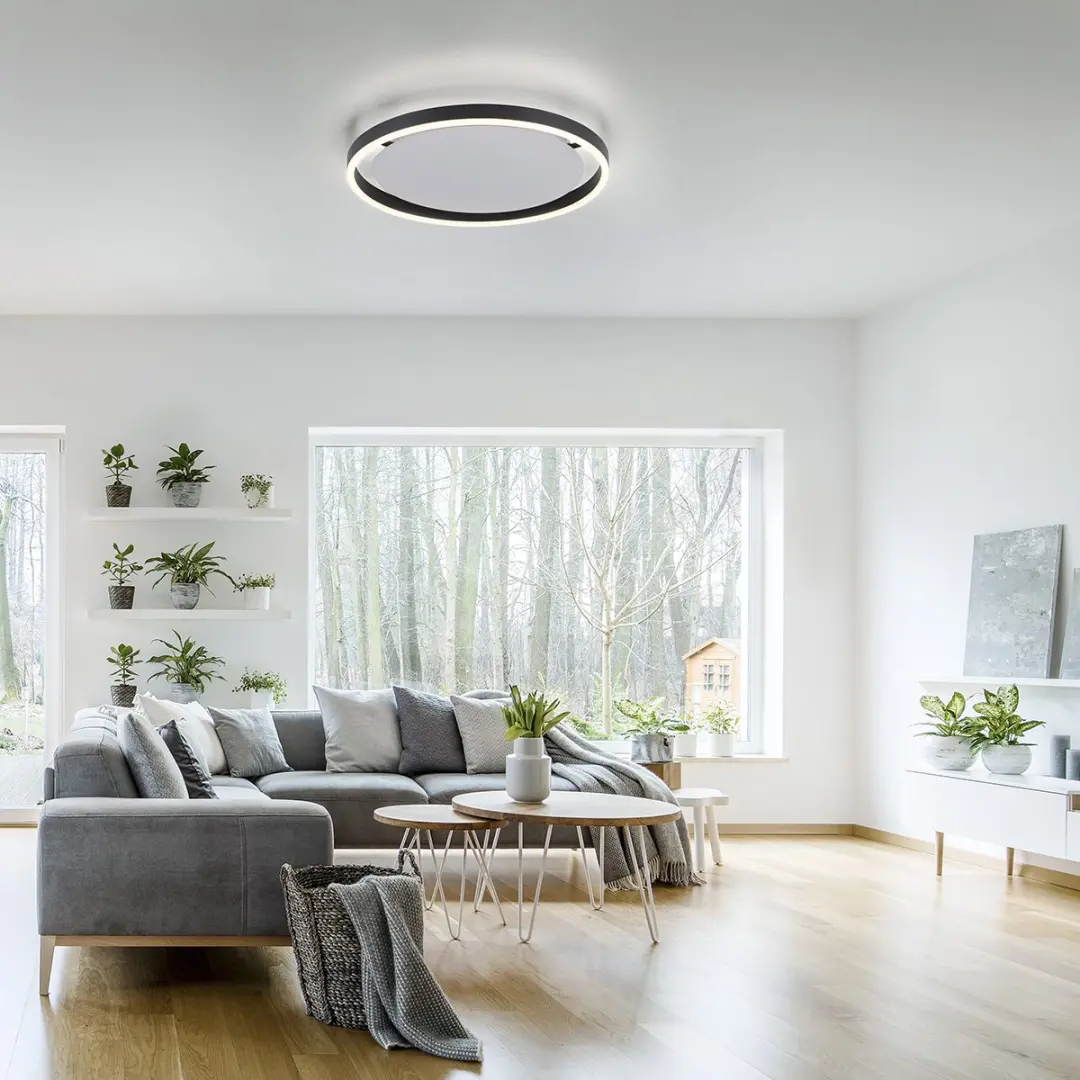Just Light Ritus Plafondlamp LED 800 Lumen - Antraciet - afbeelding 6 van 6