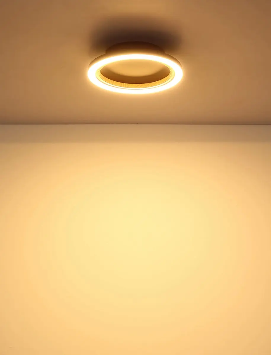 Globo Dakari I Plafondlamp - Ø21cm - Zwart