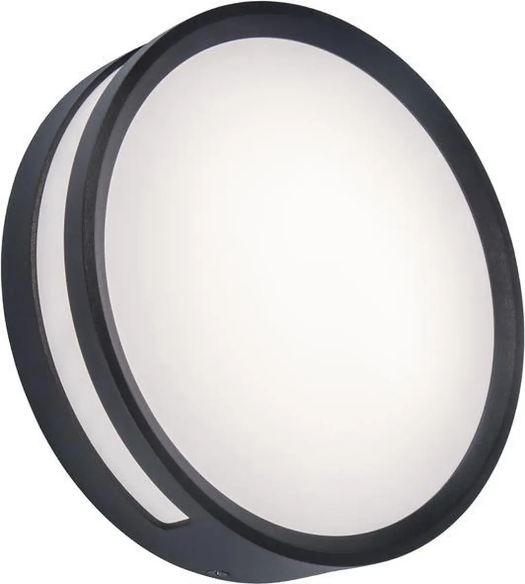 Lutec Rola Wandlamp Donkergrijs 18.3cm
