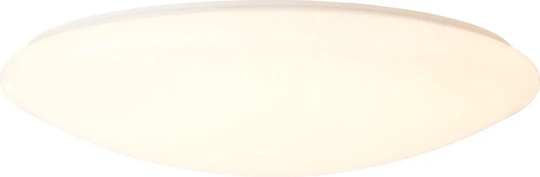 Brilliant Fakir Plafondlamp 60W