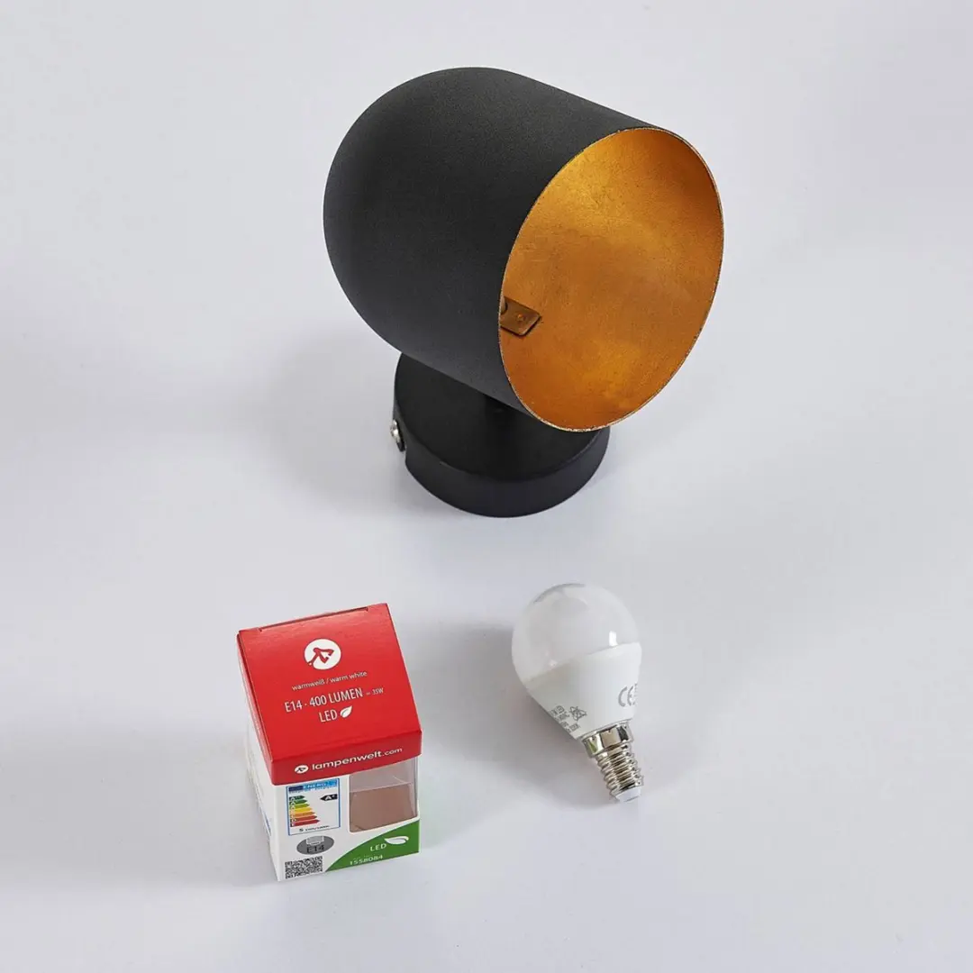 Lindby Buitenspot Metaal E14 5W - Zwart/Goud