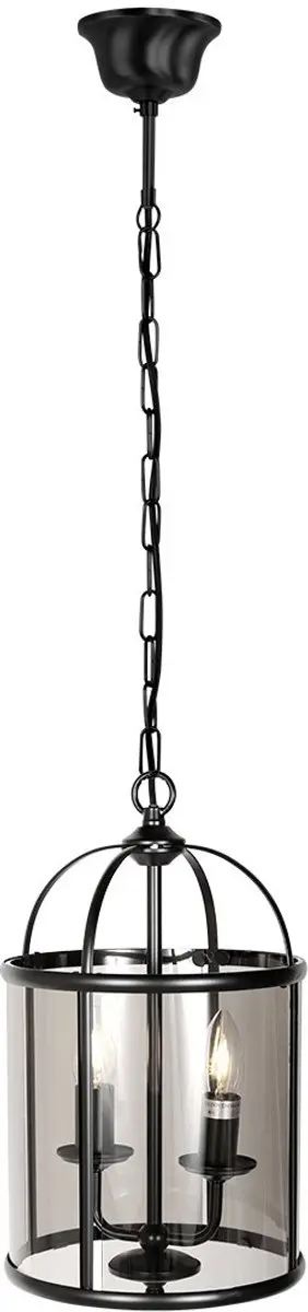 Steinhauer Hanglamp Pimpernel 5971ZW