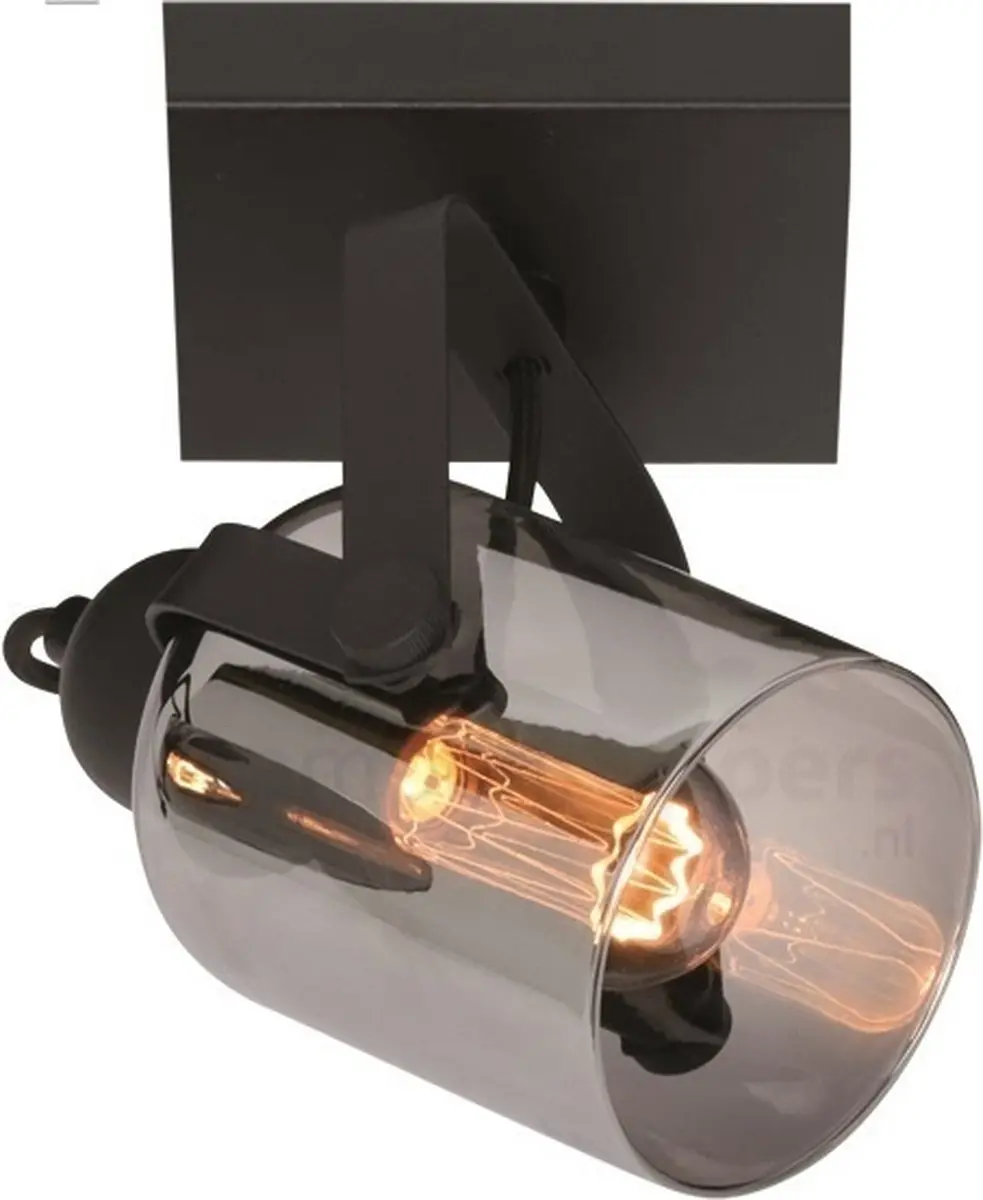 Freelight Spot Fumoso Zwart Smoke Glas 1 Lichtpunt