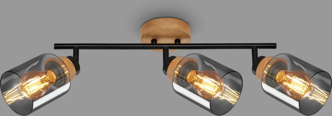 Briloner Plafondlamp Rookglas 3x30W
